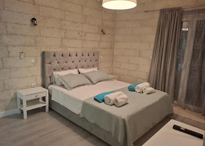 Apartment Sousouro House